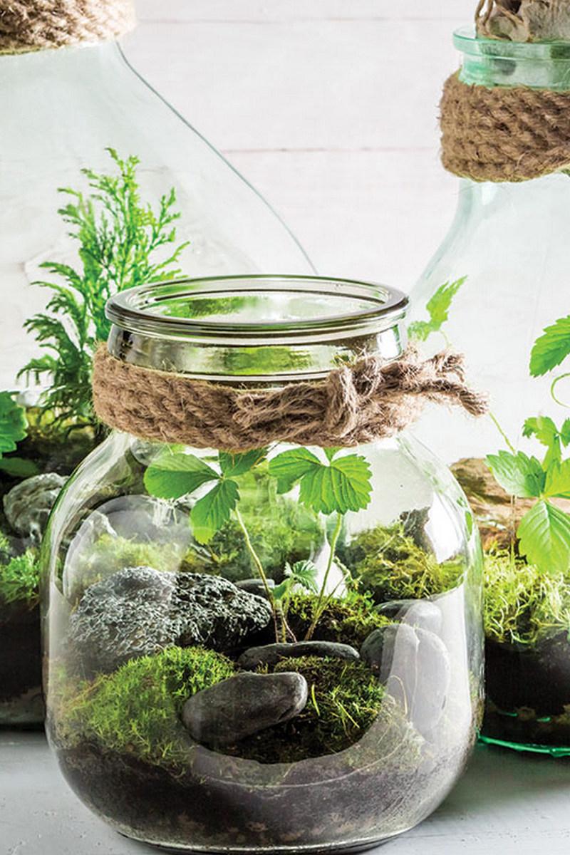 Как сделать вечный террариум (kak-sdelat-vechnyj-terrarium) Досуг, хобби