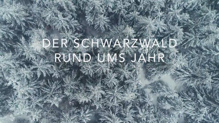 Постер Der Schwarzwald rund ums Jahr