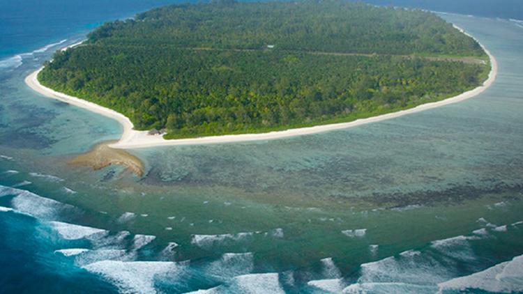 Постер D'Arros, le paradis des Seychelles