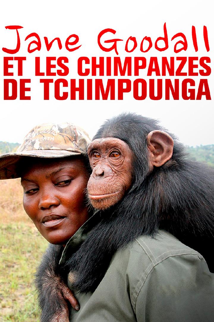 Jane Goodall et les chimpanzés de Tchimpounga (jane-goodall-et-les-chimpanzs-de-tchimpounga) Документальный сериал