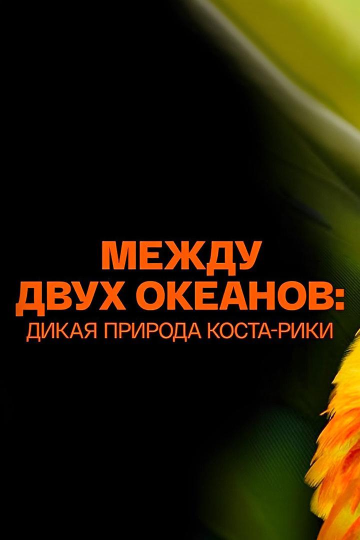 Между двух океанов: дикая природа Коста-Рики (mezhdu-dvuh-okeanov-dikaja-priroda-kosta-riki) Документальный фильм