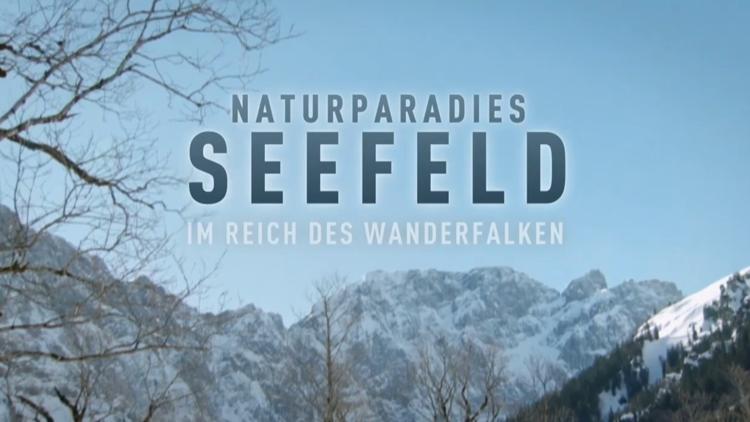 Постер Naturparadies Seefeld — Im Reich des Wanderfalken