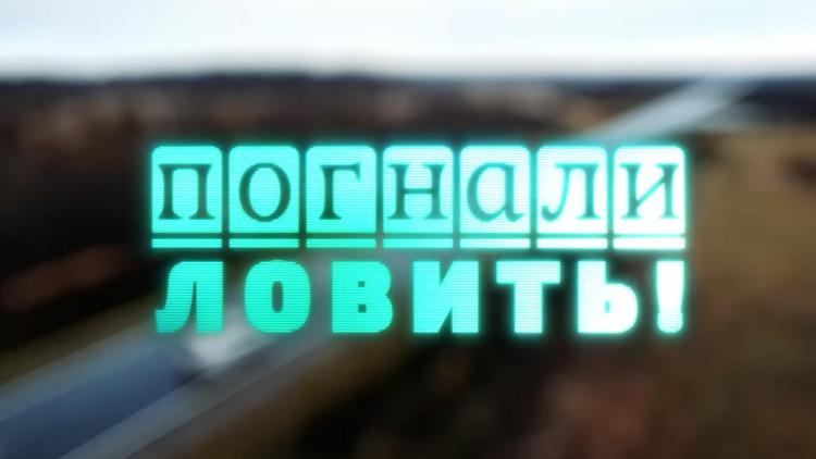 Постер Погнали ловить!