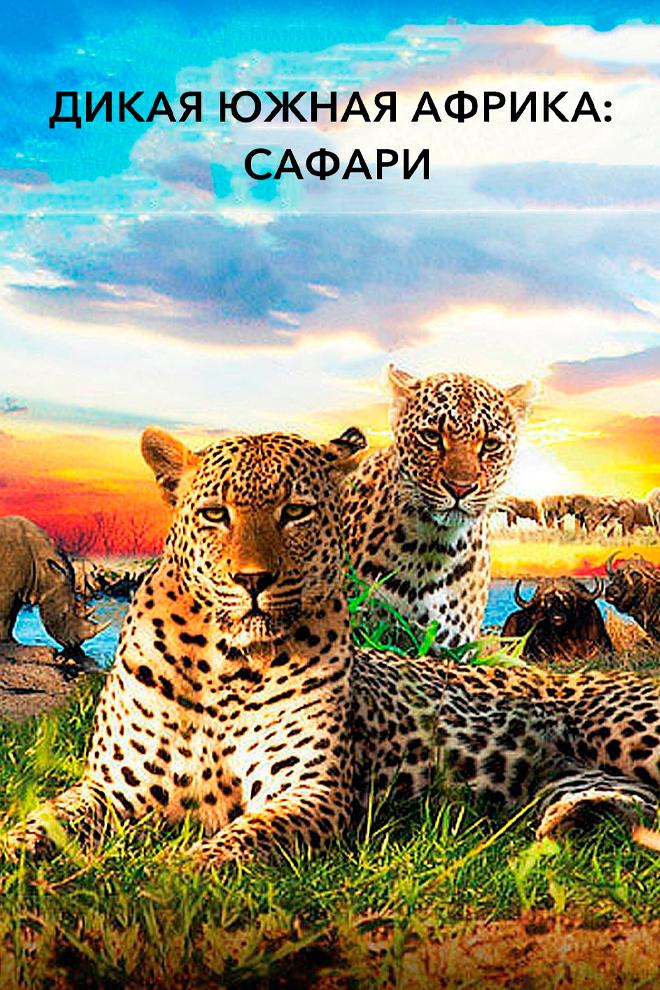 Дикая Африка. Сафари (dikaja-afrika-safari) Документальный фильм