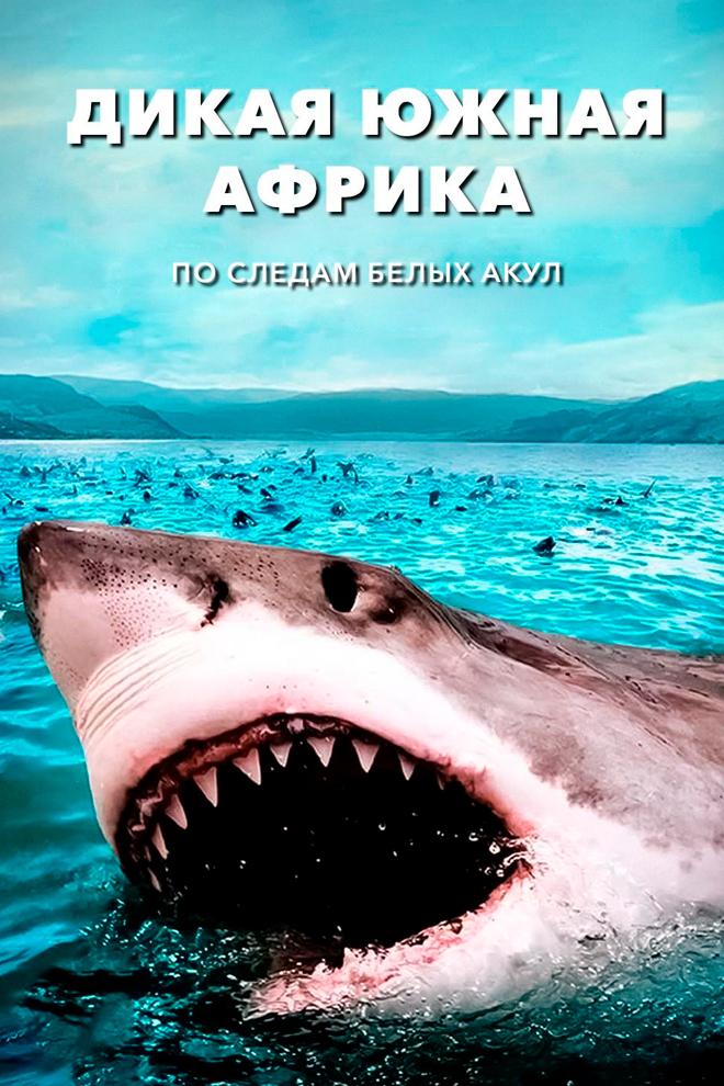 Дикая Африка. Следами белых акул (dikaja-afrika-sledami-belyh-akul) Документальный фильм