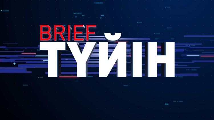 Постер Brief Түйін