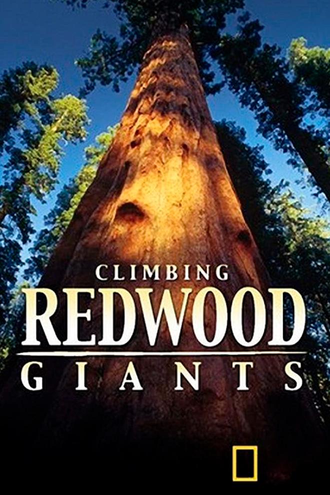 Climbing Redwood Giants: Life in the Sky (climbing-redwood-giants-life-in-the-sky) Документальный фильм