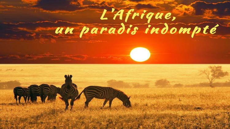 Постер L'Afrique, un paradis indompté