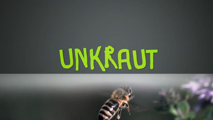 Постер Unkraut