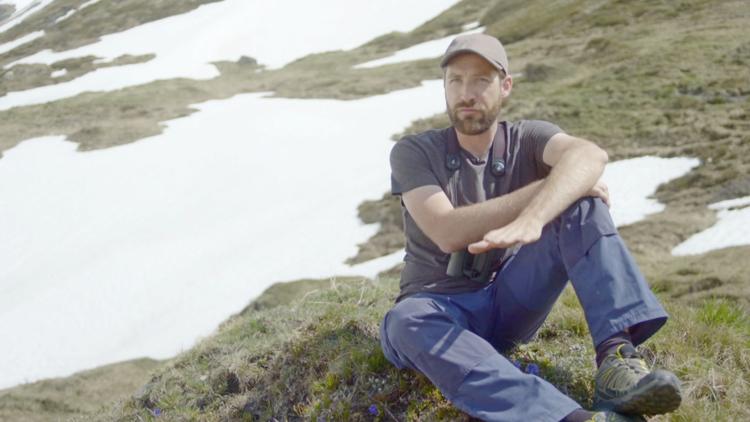 Постер Vögel im Hochgebirge