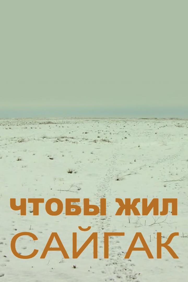 Чтобы жил сайгак (chtoby-zhil-sajgak) Документальный фильм