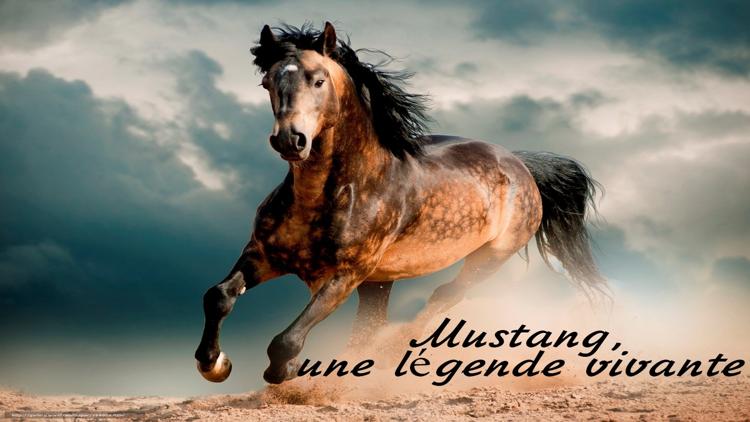 Постер Mustang, une légende vivante