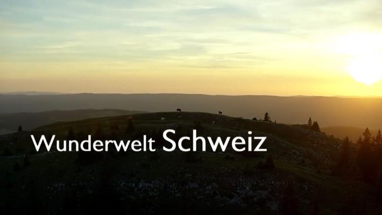 Постер Wunderwelt Schweiz