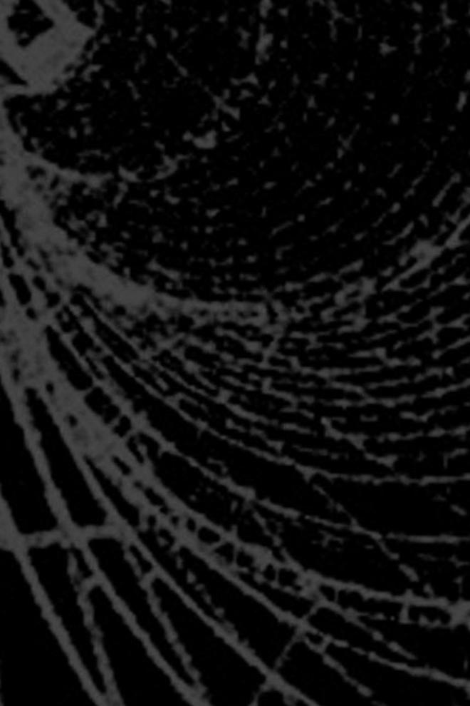 Интерактив (interaktiv) Досуг, хобби