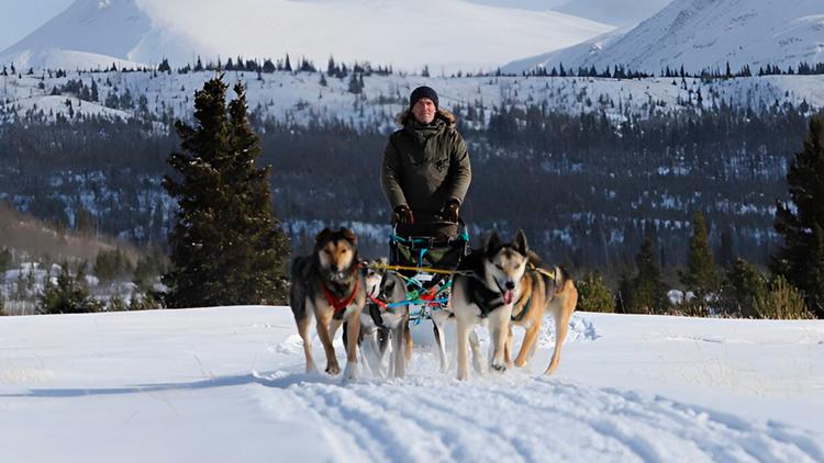 Постер Les chiens de traineau & moi