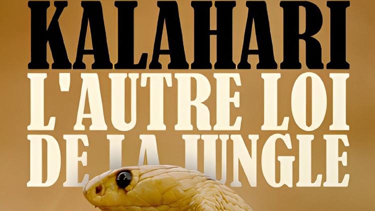 Постер Kalahari, l'autre loi de la jungle