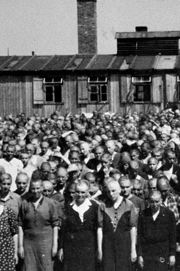 Unter Deutschen - Zwangsarbeit im NS-Staat (unter-deutschen-zwangsarbeit-im-ns-staat) Познавательное