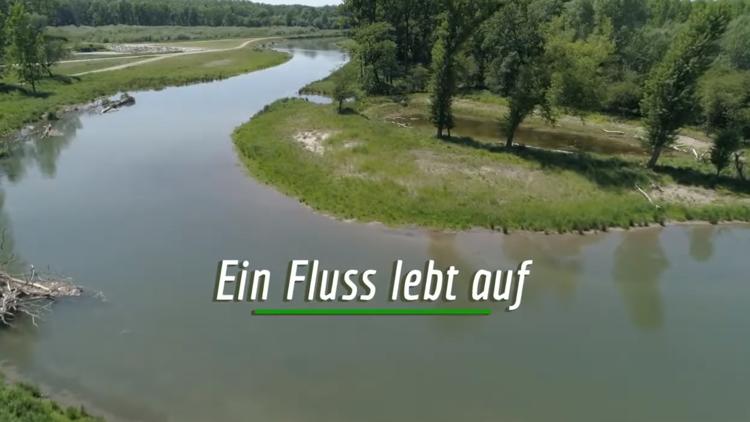 Постер Ein Fluss lebt auf-Die Revitalisierung der Traisen in Niederösterreich