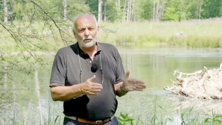 Постер Ein Fluss lebt auf-Die Revitalisierung der Traisen in Niederösterreich