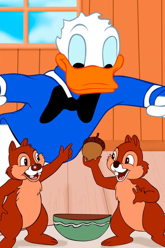 Чип и Дейл и Дональд Дак (chip-i-dejl-i-donald-dak) Мультсериал 2015