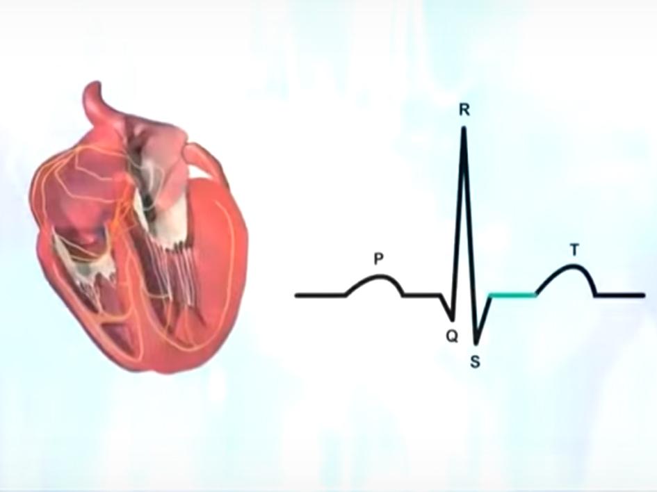 Здоровье (zdorove) Познавательное
