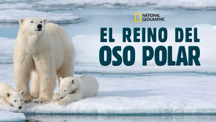 Постер El reino del oso polar