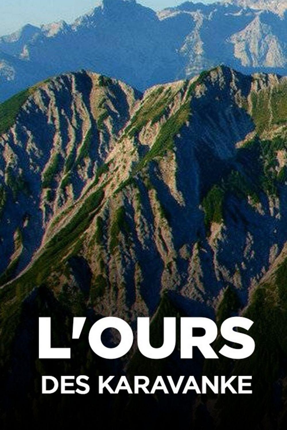 L'ours des Karavanke (lours-des-karavanke) Познавательное