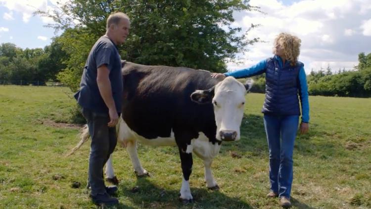 Постер Escape to the Farm with Kate Humble