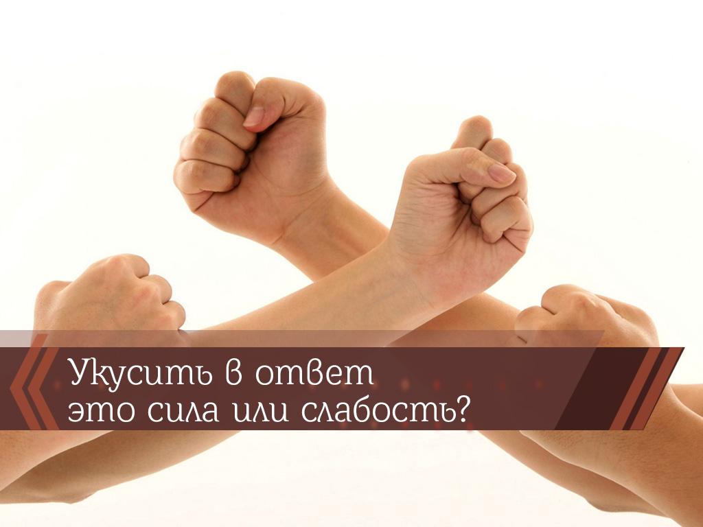 Укусить в ответ-это сила или слабость? (ukusit-v-otvet-eto-sila-ili-slabost) Познавательное