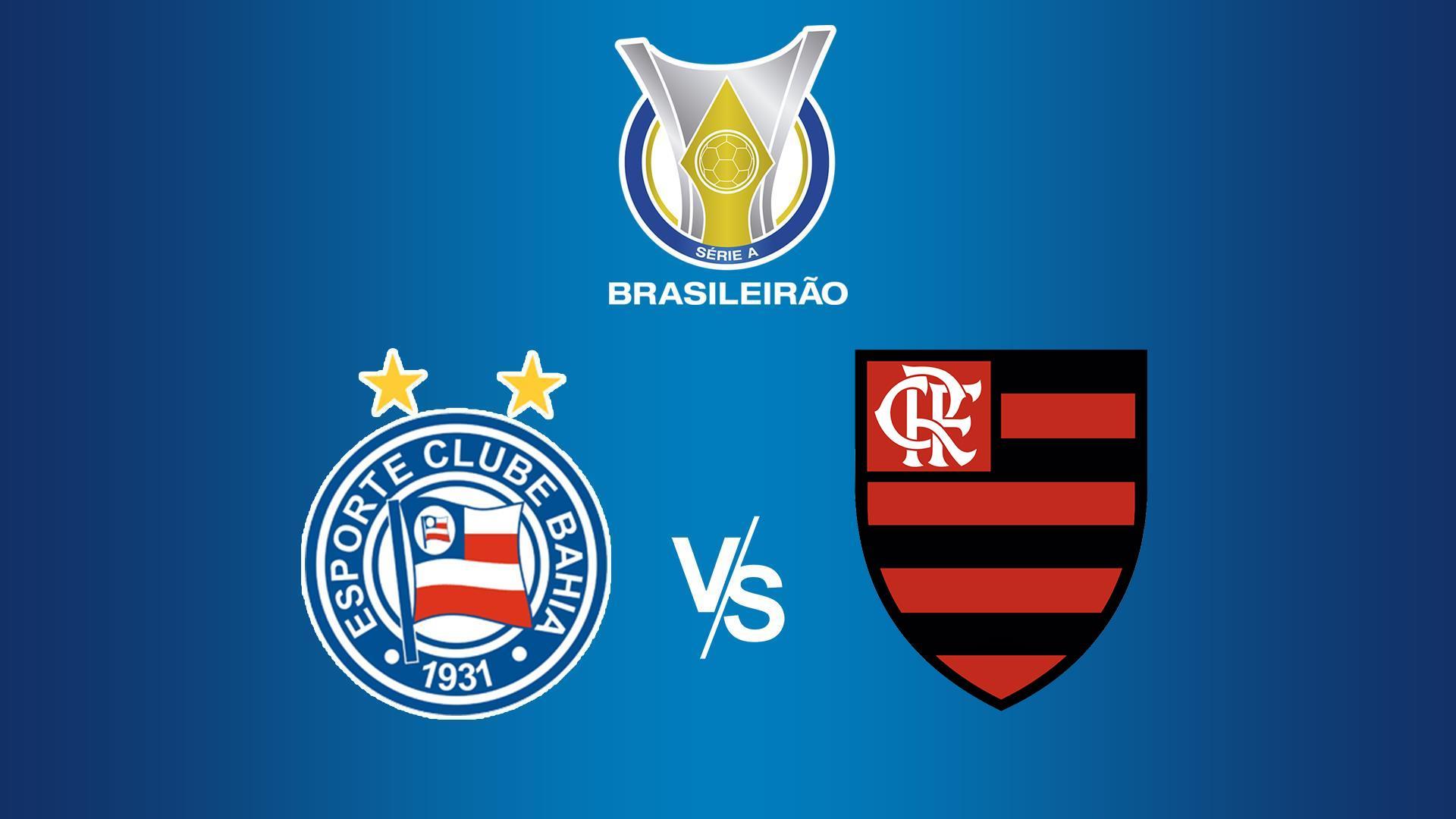 Чемпионат Бразилии. Баия - Фламенго (chempionat-brazilii-baija-flamengo) Спорт