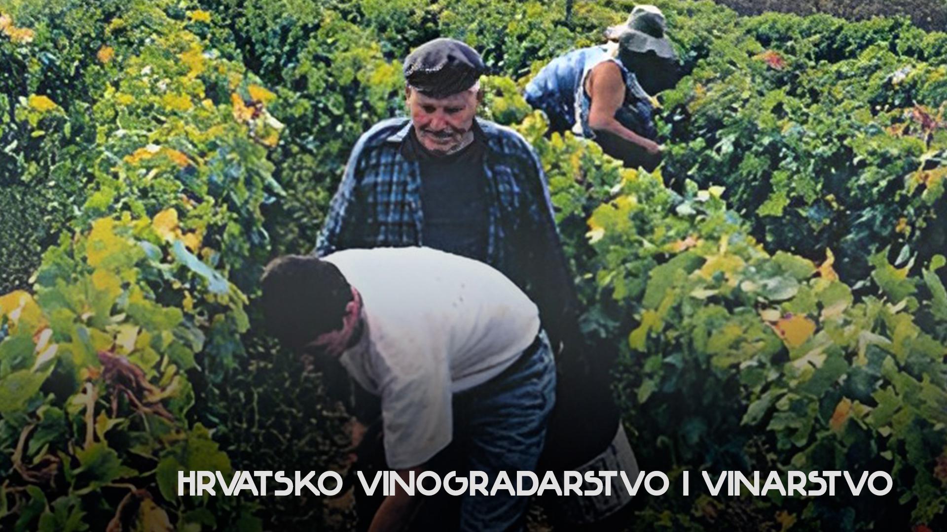 Hrvatsko vinogradarstvo i vinarstvo (hrvatsko-vinogradarstvo-i-vinarstvo) Документальный сериал