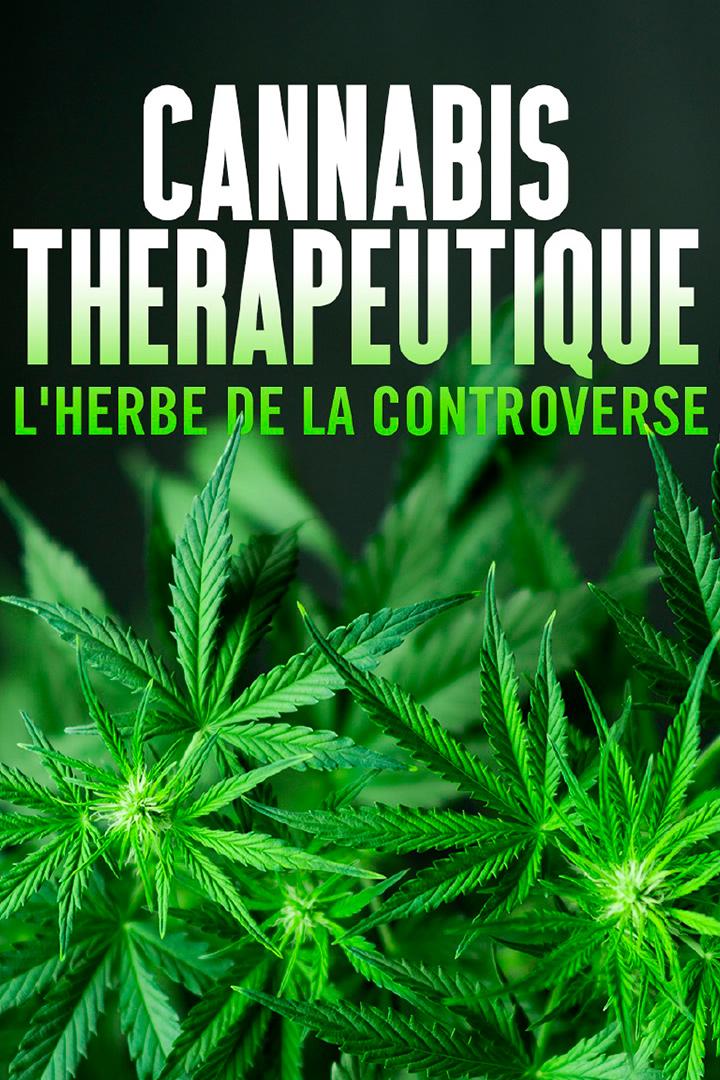 Cannabis thérapeutique, l'herbe de la controverse (cannabis-thrapeutique-lherbe-de-la-controverse) Познавательное