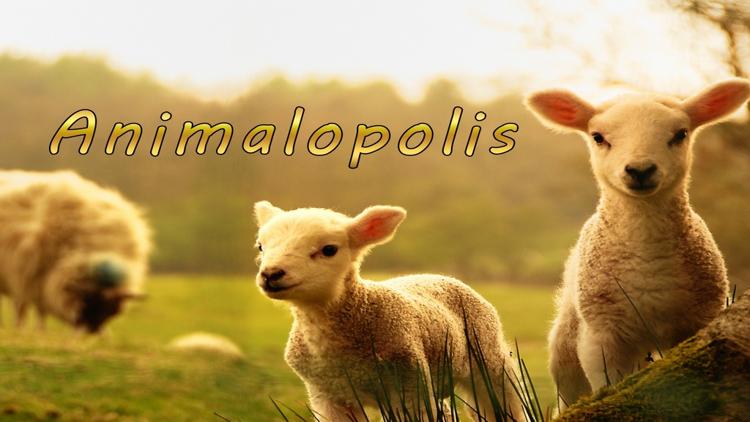 Постер Animalopolis