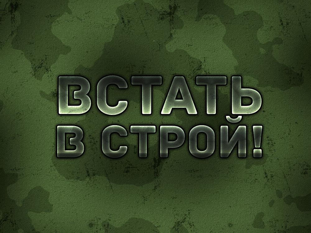 Встать в строй! (vstat-v-stroj) Другое
