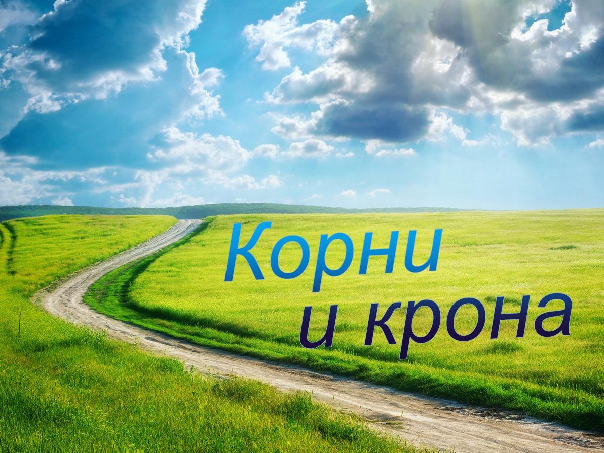Корни и крона (korni-i-krona) Познавательное