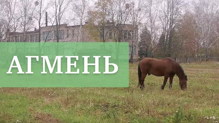 Постер Агмень