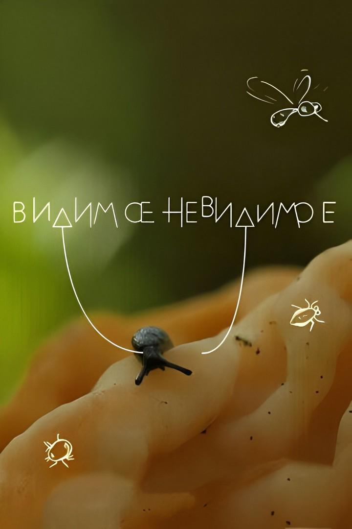 Видимое невидимое (vidimoe-nevidimoe) Досуг, хобби