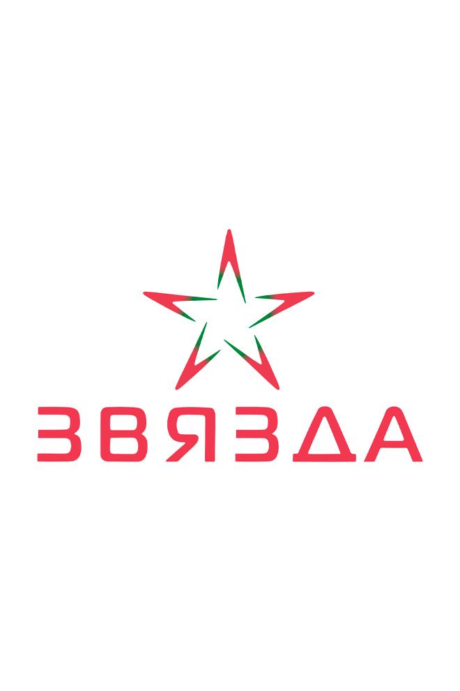 Звезда (zvezda) Другое
