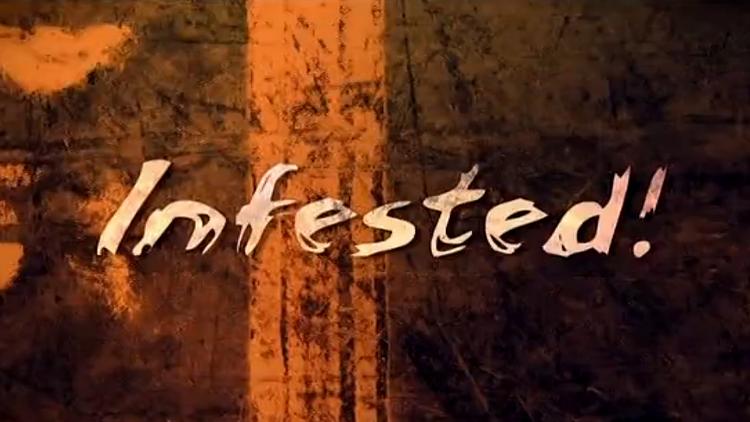 Постер Infested!