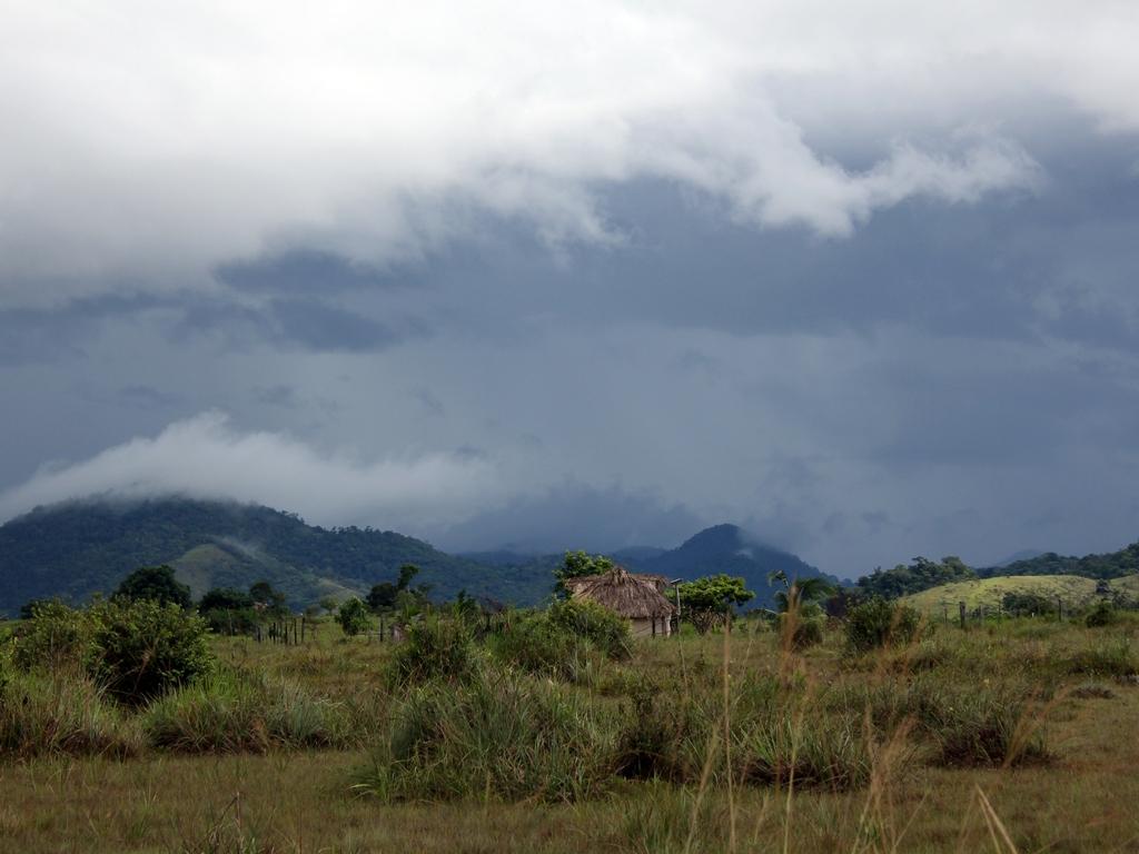 Один на один с дикой природой (odin-na-odin-s-dikoj-prirodoj) Реалити-шоу