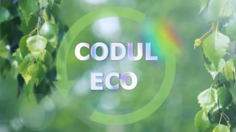 Постер Codul ECO