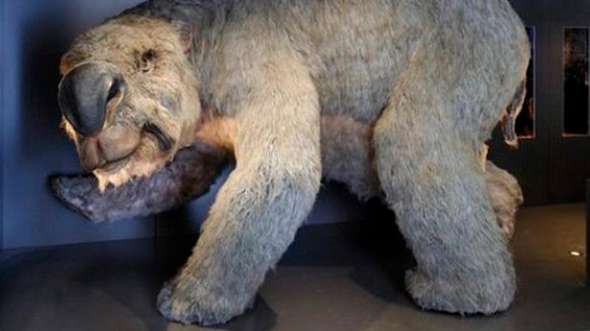 По следам натуралиста (po-sledam-naturalista) Познавательное