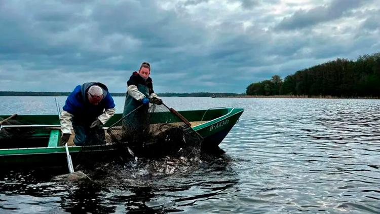 Постер Unterwegs um den Müggelsee