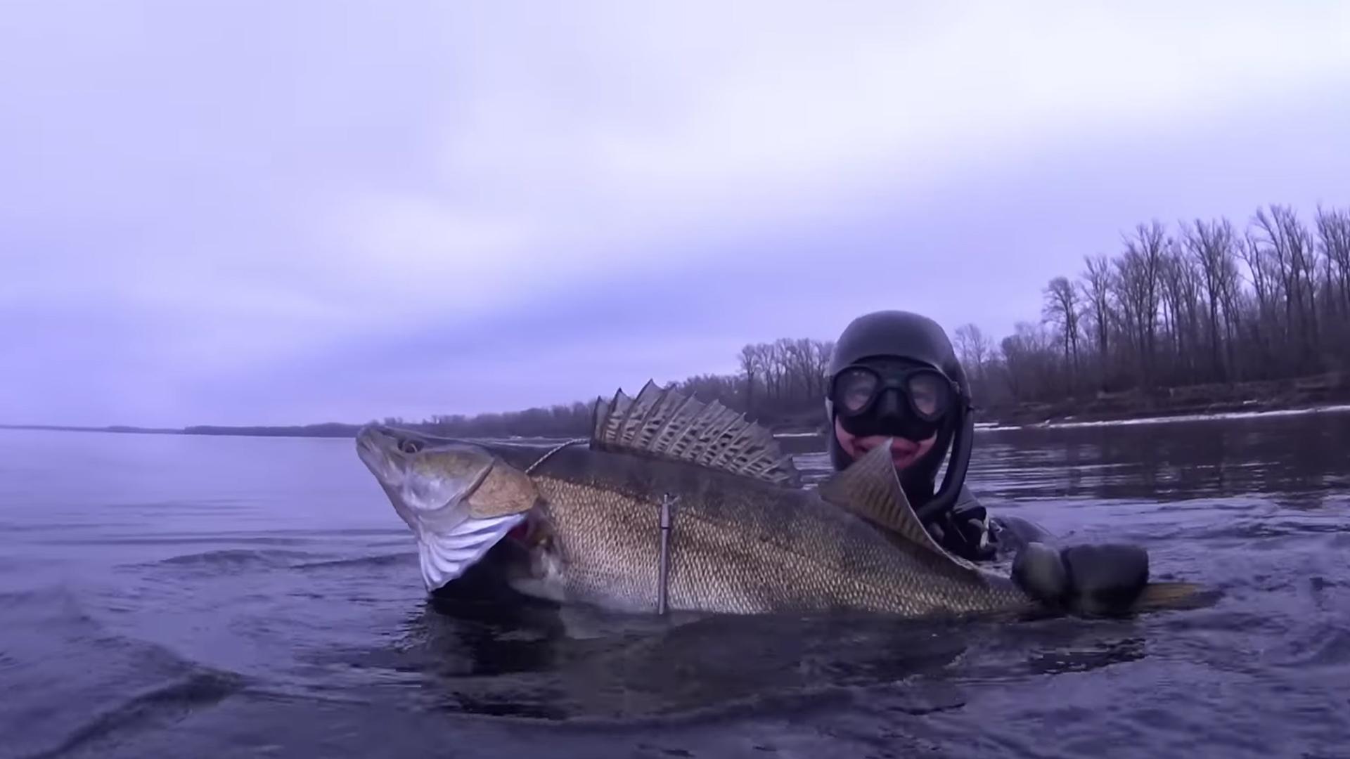 Весна. Успевай нырять (vesna-uspevaj-nyrjat) Досуг, хобби