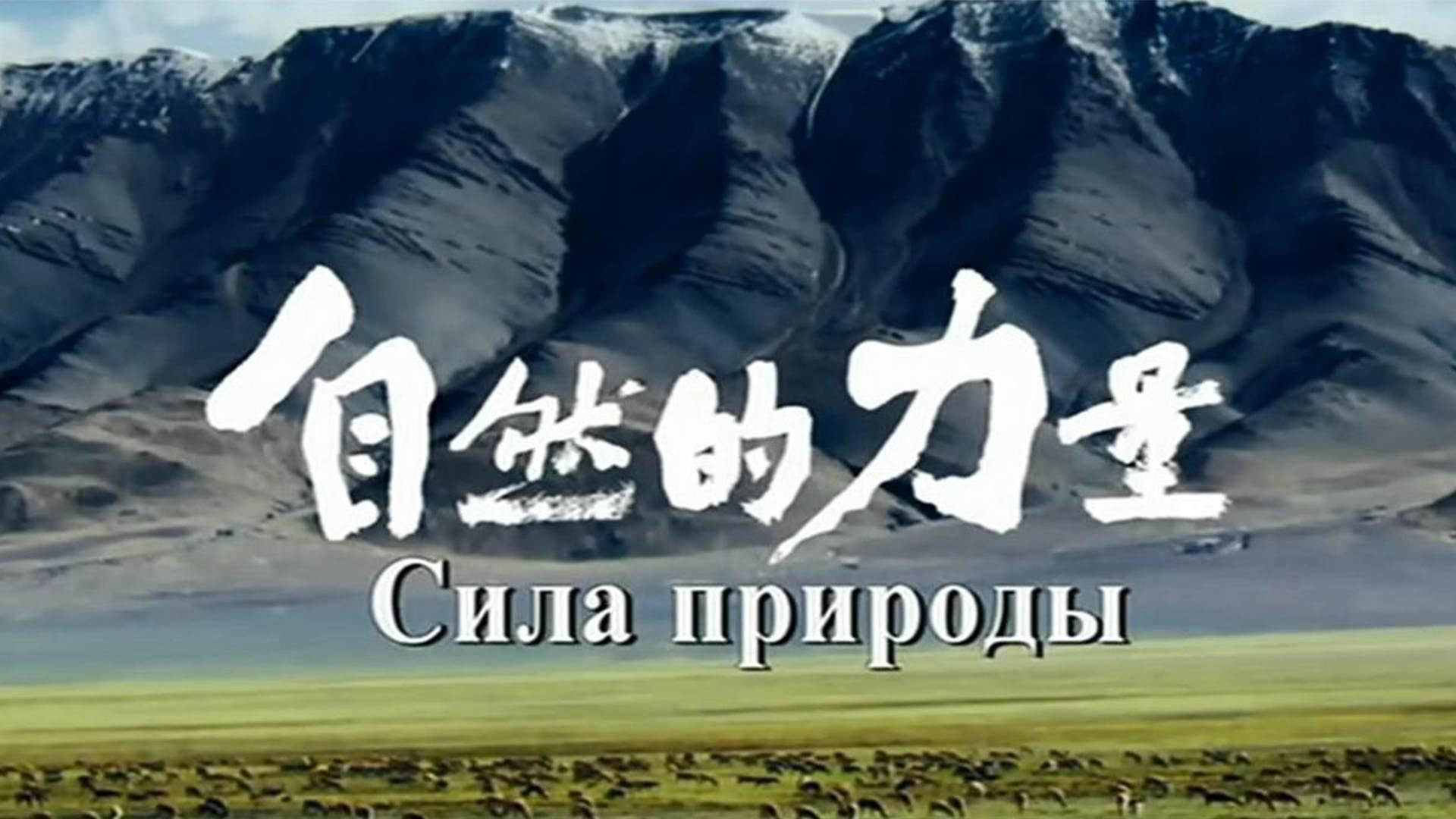 Сила природы (sila-prirody) Документальный сериал