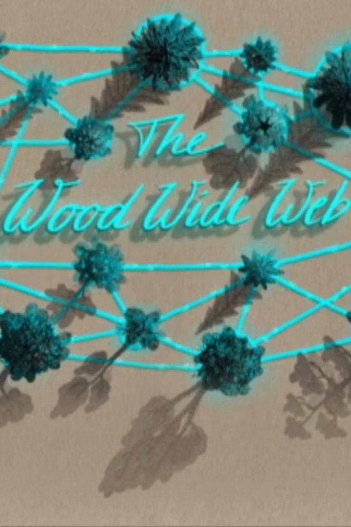 Wood Wide Web (wood-wide-web) Познавательное