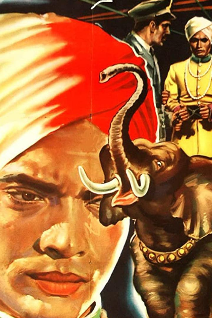 Hello Elephant (hello-elephant) Фильм 1952