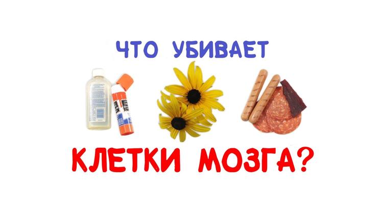 Постер Что убивает клетки мозга?