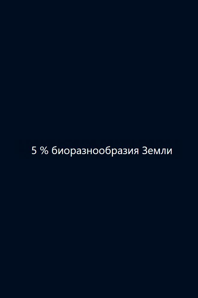 5 % биоразнообразия Земли (5-bioraznoobrazija-zemli) Документальный фильм