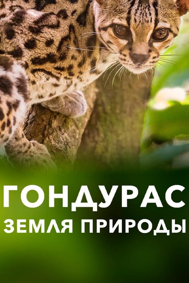 Гондурас - Земля природы (gonduras-zemlja-prirody) Документальный фильм